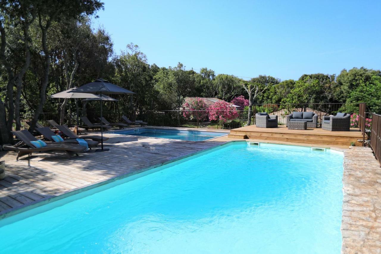 بونيفَسْيو Residence Sophia المظهر الخارجي الصورة